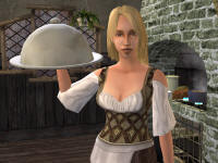 NPC Replacements: Tavern & Alehouses